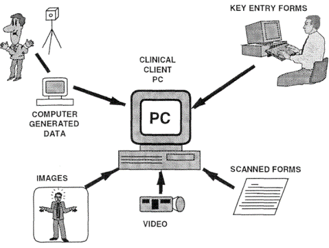 Kaufman 1998